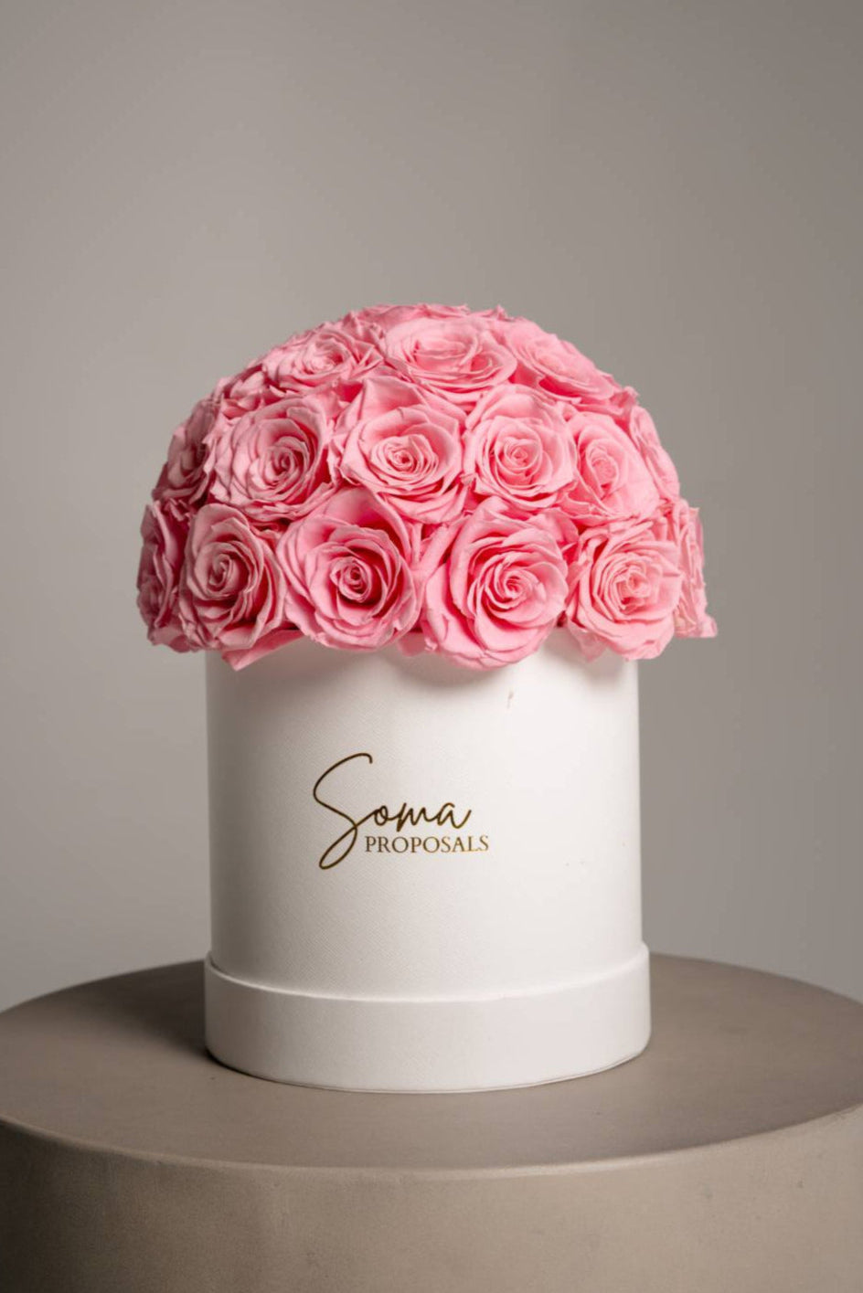 Signature Preserved Roses - Pink